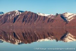 b9_Woodfjord_25Juli11_51_N