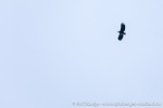 231108a_Kvaenangen_45_N