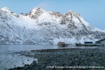 231109a_Reinfjord_24_N