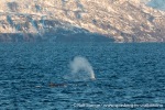 231109b_Kvaenangen_17_N