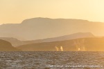 231109b_Kvaenangen_27_N