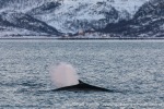 231109b_Kvaenangen_38_N