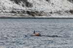 231109b_Kvaenangen_51_N