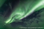 231109c_Spildra_03_N