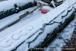 231110a_Spildra_004_N