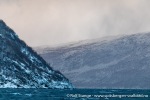 231110a_Spildra_006_N
