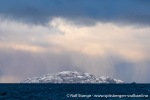 231110a_Spildra_154_N