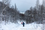 231111a_Sorkjosen_05_N