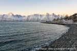 231112a_Hamnes_19_N