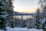 231112a_Hamnes_32_N