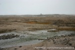 Kvitoya_09_August_05-_064_N