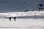240413_Skimarathon_23_N