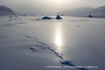 240416b_Tunabreen_204_N
