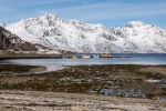 240423a_Oksfjord_03_N