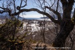 240427c_Digermulen_017_N