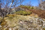 240427c_Digermulen_022_N