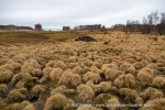 240430a_Engelsoya_02_E