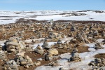 240502b_Polarsirkel_28_N