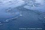 240502e_Saltstraumen_08_N