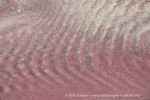 240503a_Mjelle_032_N