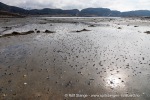 240503a_Mjelle_113_N