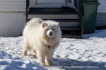 240424a_Skjervoy_020_N