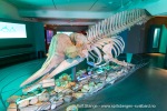 240425a_Tromsoe_053_N