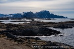 240426b_Andenes_40_N