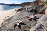 240429a_Tranoy_005_N