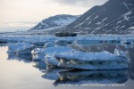 240506_Adventfjord_23_N