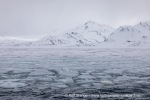 240526b_St-Jonsfjord_11_N