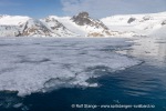 240603a_Hamiltonbukta_104_N