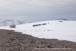 240603c_Alicehamna_06_N