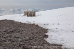 240603c_Alicehamna_14_N