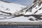 240604d_Kobbefjord_03_N