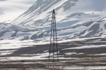 240606a_Ny-Alesund_67_N