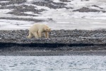240601a_Engelskbukta_05_N