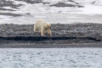 240601a_Engelskbukta_08_N