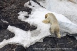 240601a_Engelskbukta_48_N