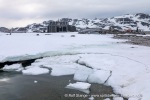 240601d_Bjornhamna_09_N