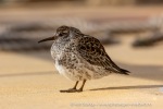 240602b_Segeln_64_N