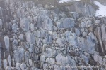 240603a_Hamiltonbukta_027_N