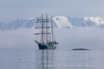 240603a_Hamiltonbukta_086_N