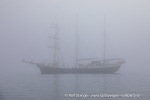 240603a_Hamiltonbukta_122_N