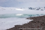 240603c_Alicehamna_10_N