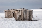 240603c_Alicehamna_16_N