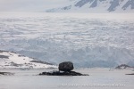 240604b_Fuglefjord_02_N
