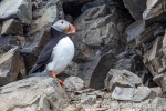 240605c_Fjortende-Julibukta_25_N