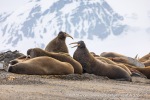 240606b_Sarstangen_33_N
