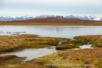 b4g_Andoyane_19Sept15_12_N